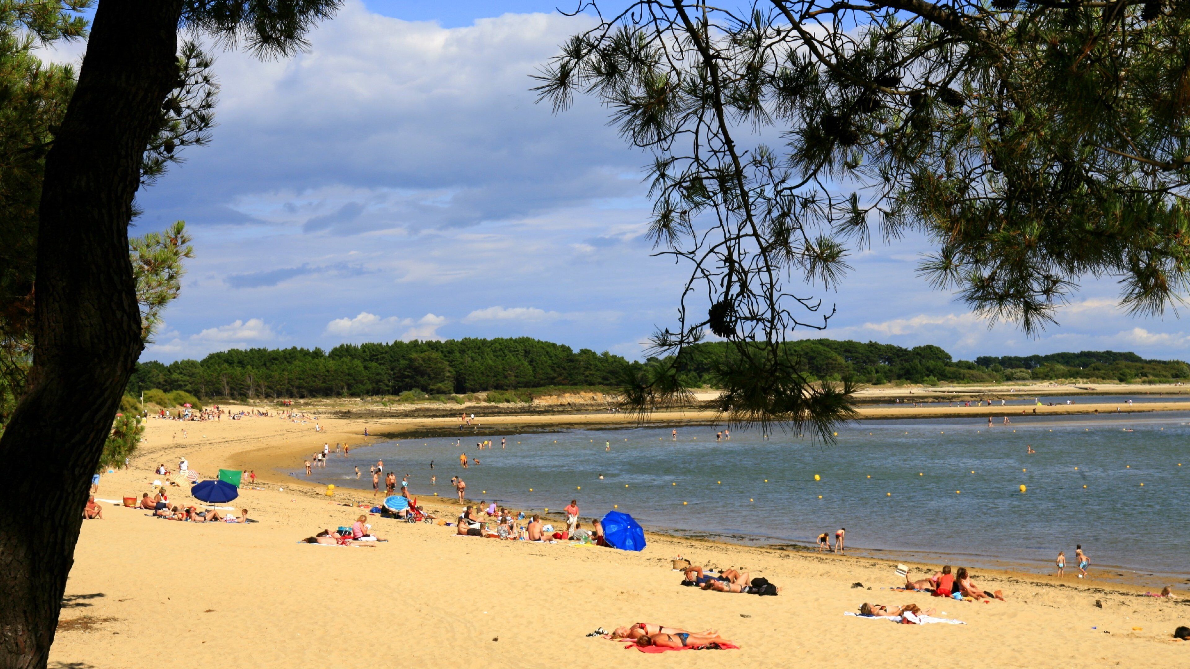 A beach with people sunbathing and swimming, surrounded by trees and a clear sky.