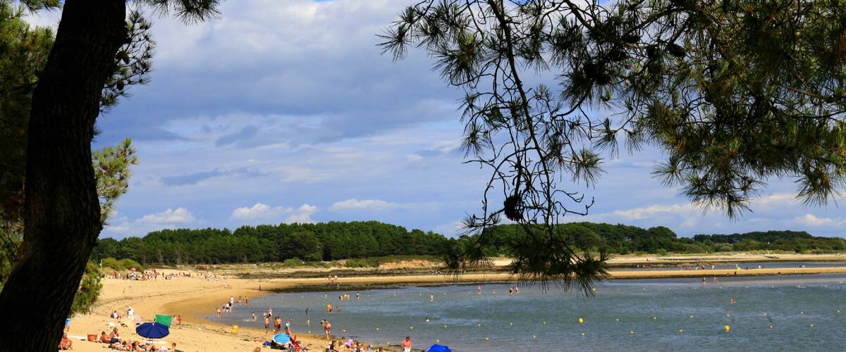 A beach with people sunbathing and swimming, surrounded by trees and a clear sky.