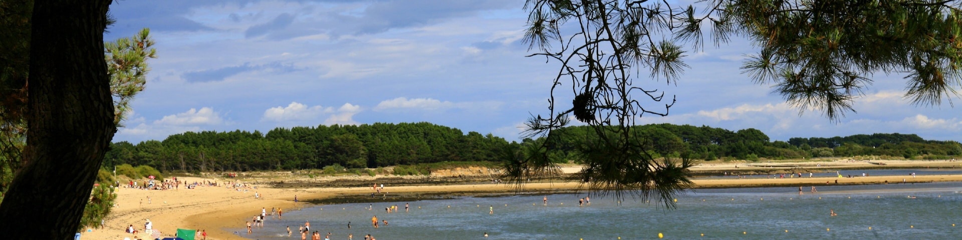 A beach with people sunbathing and swimming, surrounded by trees and a clear sky.