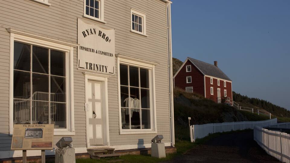 A building with a sign reading "Ryan Bros Importers & Exporters Trinity".