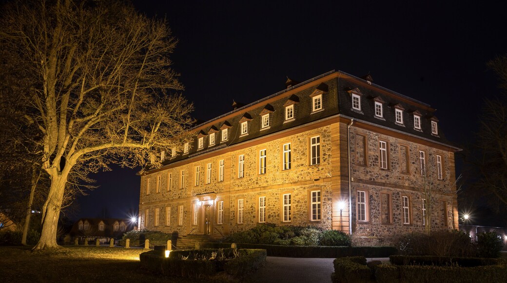 لانجينسيلبولد