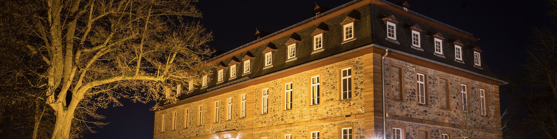 castle langenselbold germany at night