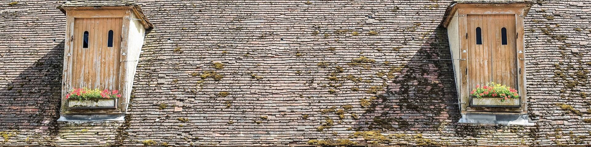 Fere-en-Tardenois - Covered market