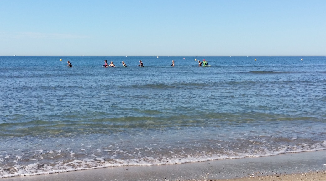Des Acqua marcheurs, nouvelle forme de sport. le corps est à moitié dans l'eau