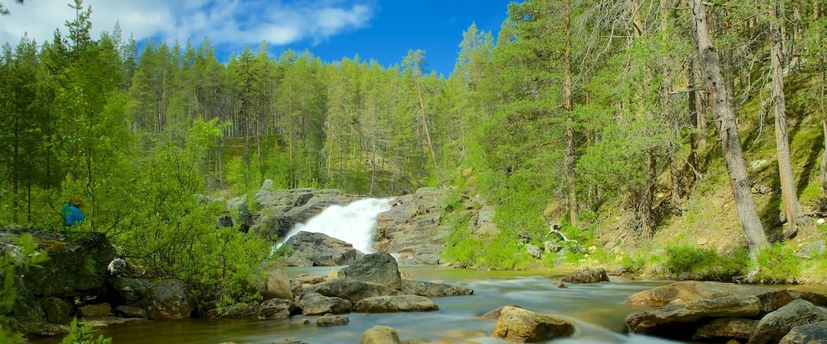 Finland featuring tranquil scenes, forests and a river or creek