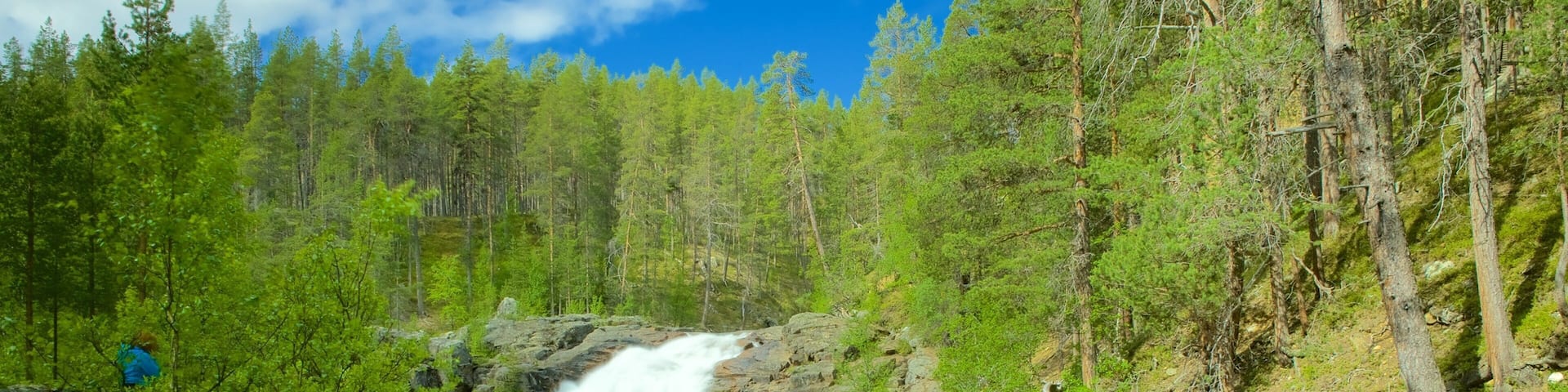 Finland which includes forest scenes, tranquil scenes and a river or creek