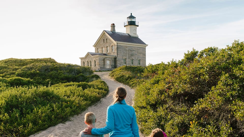 A sandy path leading to a lighthouse house surrounded by greenery.