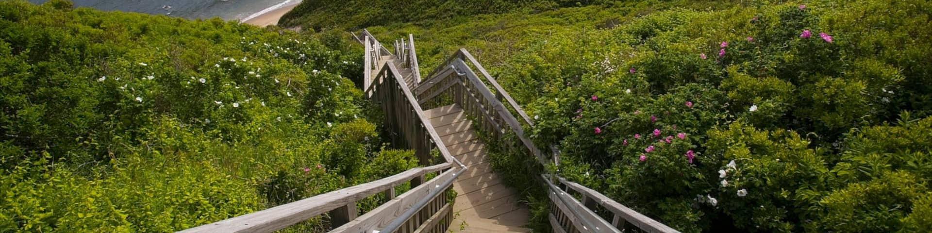 Block Island mettant en vedette vues littorales