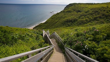 A wooden staircase leading down to a beach with a view of the ocean.