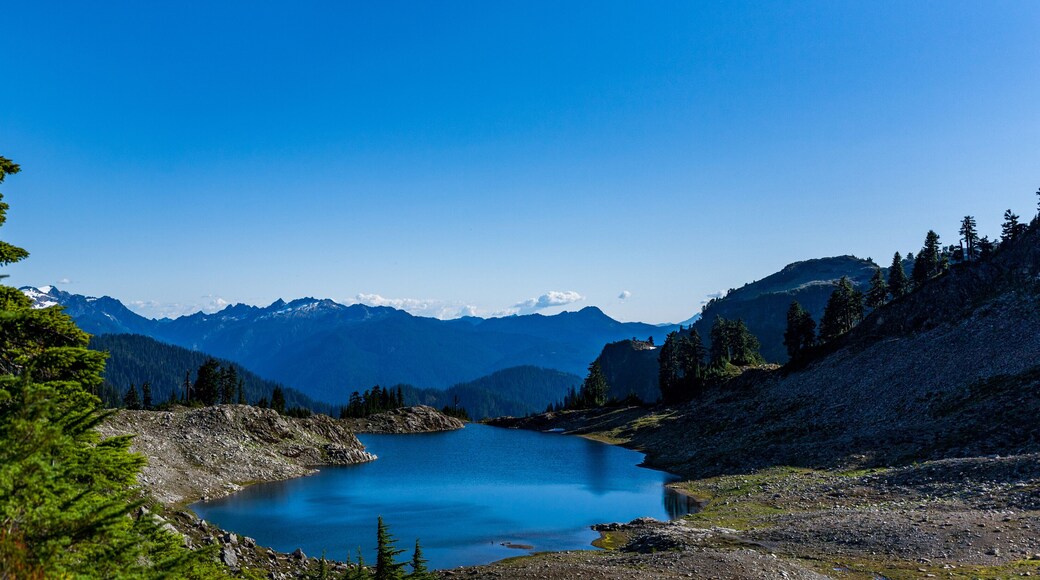 ๋
ธ์ค์จ์คํธ ๋ฆฌ๋ฒ