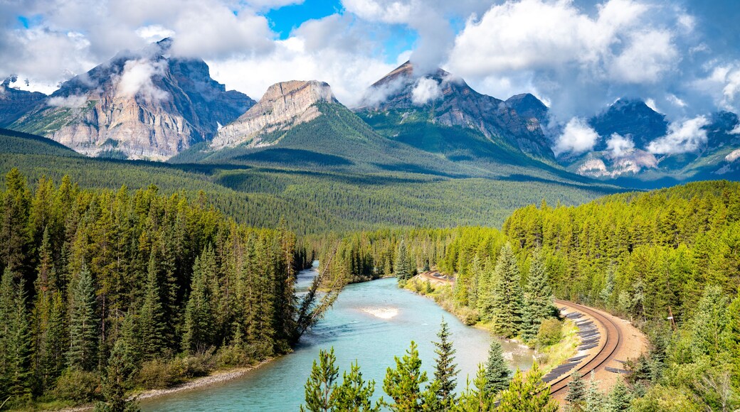 ๋
ธ์ค์จ์คํธ ๋ฆฌ๋ฒ