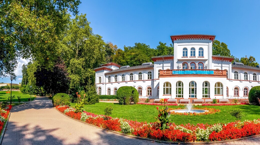 Öffentlicher, Kurpark, Bad Soden am Taunus, Hessen, Deutschland