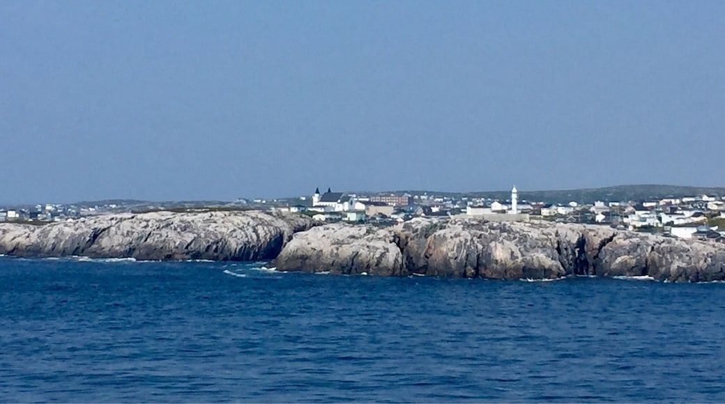 Leaving Newfoundland behind as we take the ferry back to Nova Scotia.