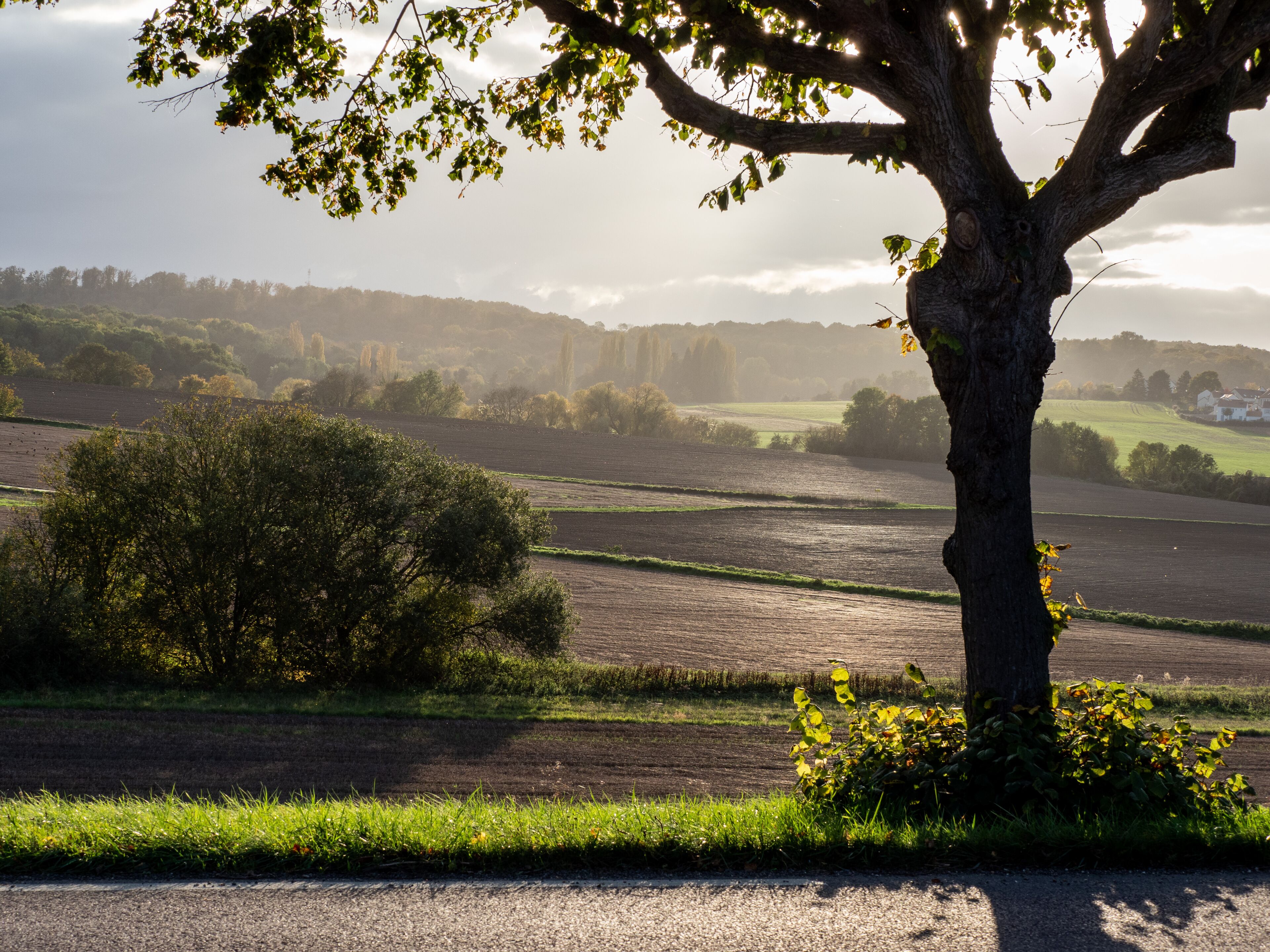 Paysage d'automne à Orgeval dans les Yvelines en France