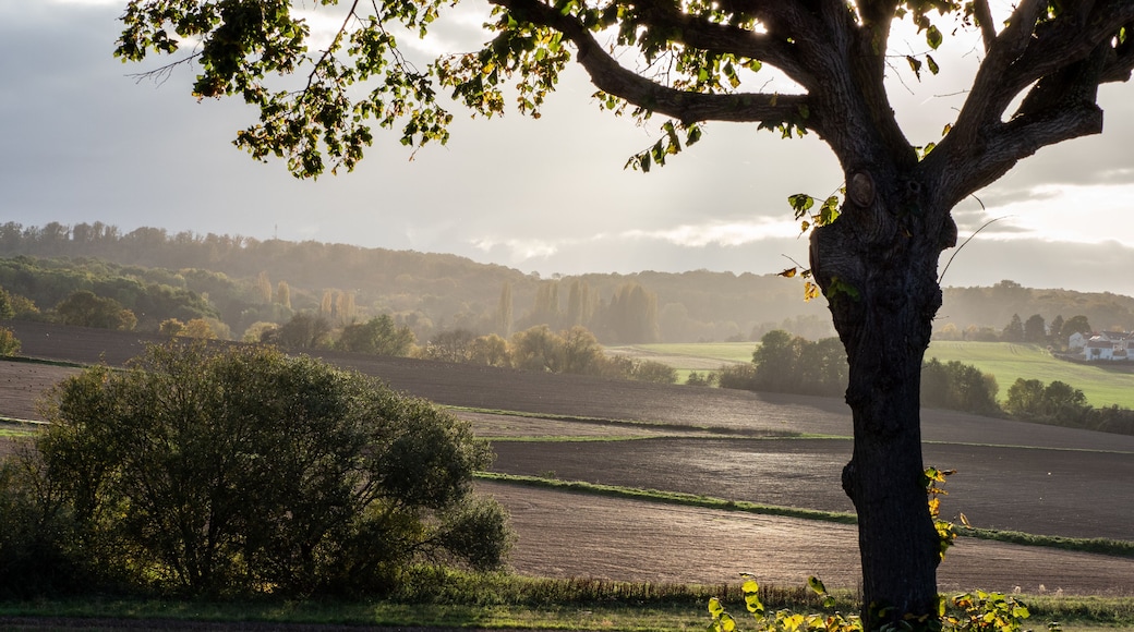 Paysage d'automne à Orgeval dans les Yvelines en France