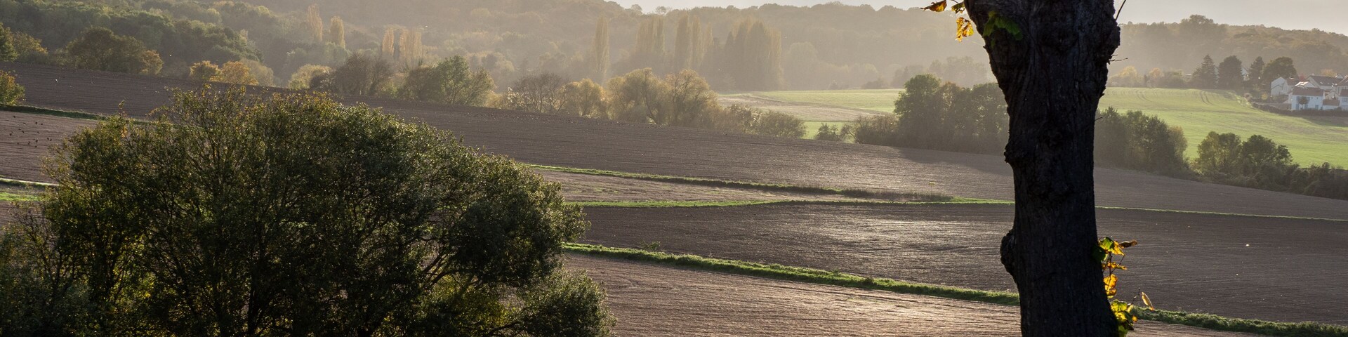 Uma estrada rural bordeada por árvores, com campos e colinas ao longe.