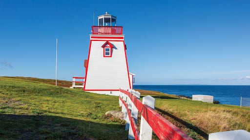 福群 呈现出 燈塔 和 一般的海岸景觀