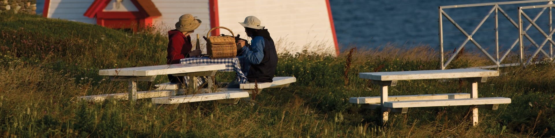 Fortune showing a lighthouse and general coastal views