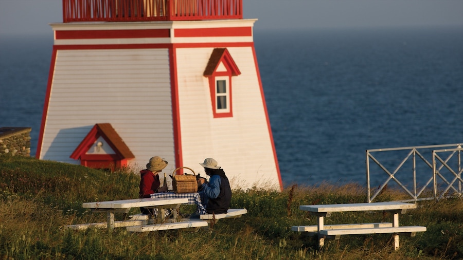 Fortune showing a lighthouse and general coastal views