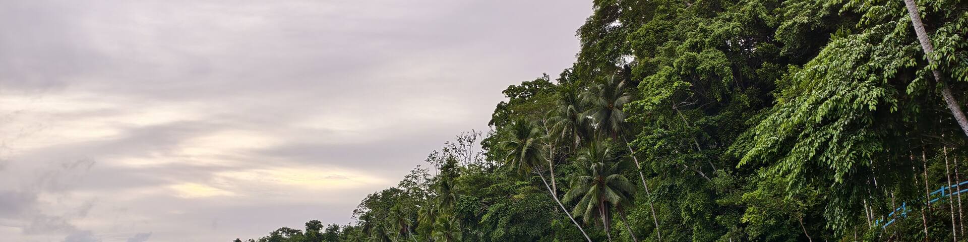 A beautiful beach, with clear sea water, trees, wooden boats, coconut trees and a slightly cloudy sky. Raja Tiga Sabado Adoki Beach