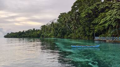 A beautiful beach, with clear sea water, trees, wooden boats, coconut trees and a slightly cloudy sky. Raja Tiga Sabado Adoki Beach