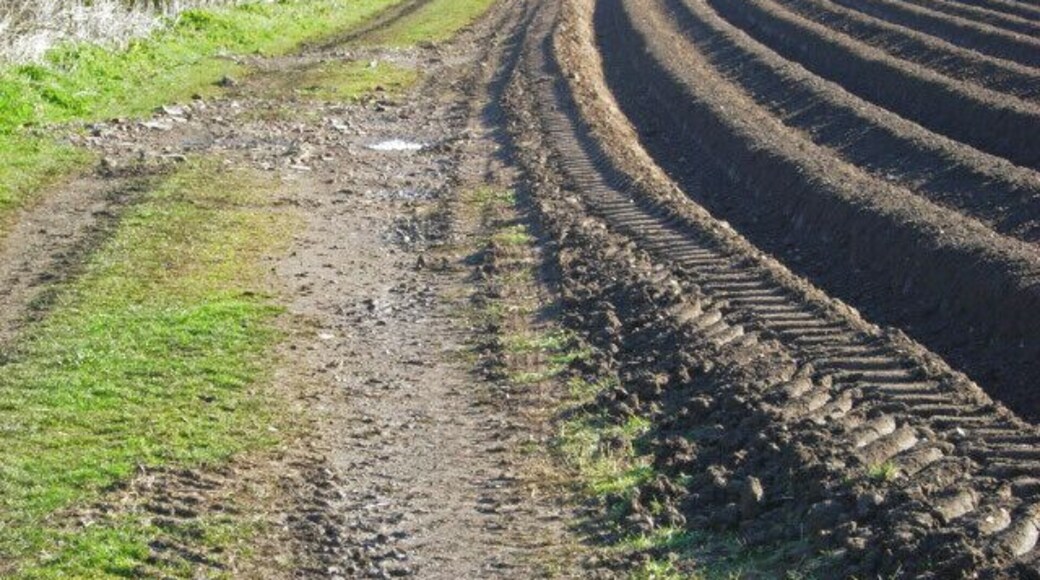 Bridleway to Brinklow Bridleway across arable land leading off the A428 Coventry - Rugby road.