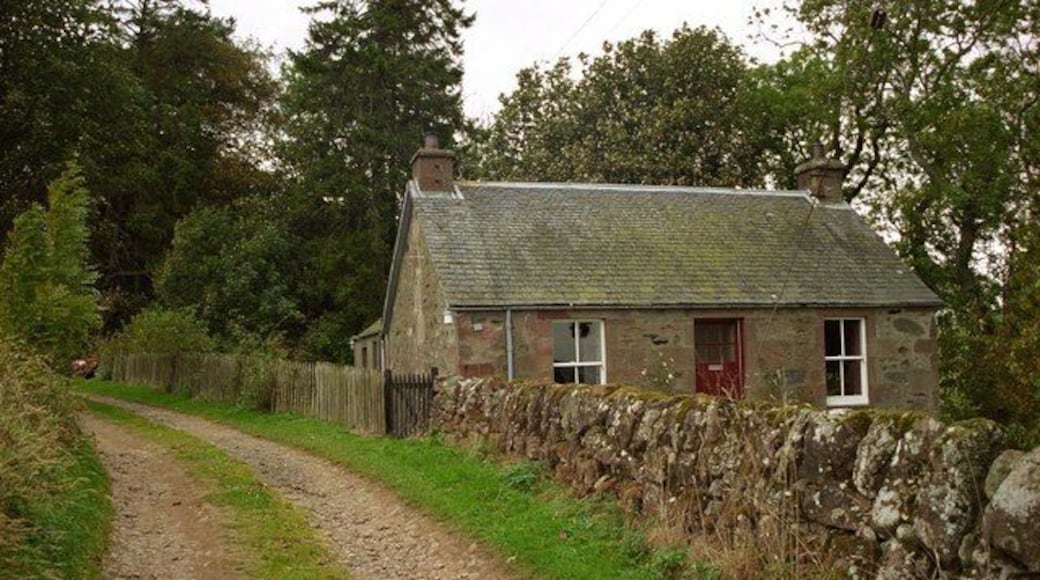 Hillview Cottage, Alyth, Perthshire Hillview Cottage is a former shepherd's cottage belonging to Thorn Farm, just off the A926 Blairgowrie to Kirriemuir road near Alyth. The cottage is reached from the track shown in the picture that starts from Thorn Farm itself and rises north-north-west between the fields. It has been extended and modernised and is used today for holiday lettings.