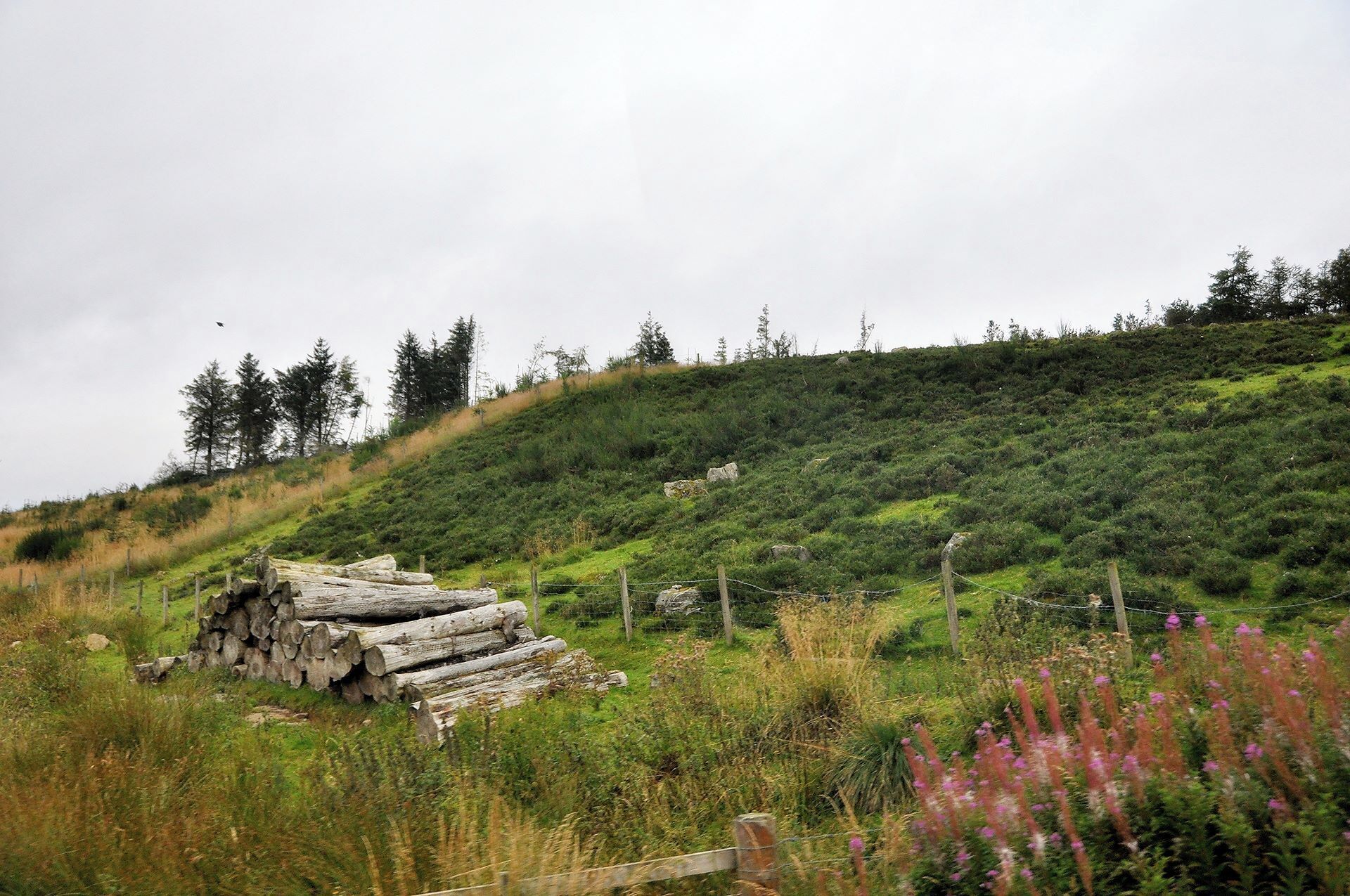 Fahrt durch die Highlands bei Glenshee