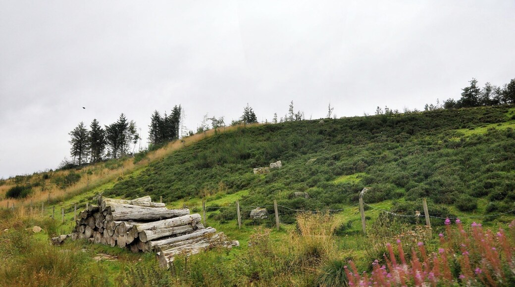Fahrt durch die Highlands bei Glenshee