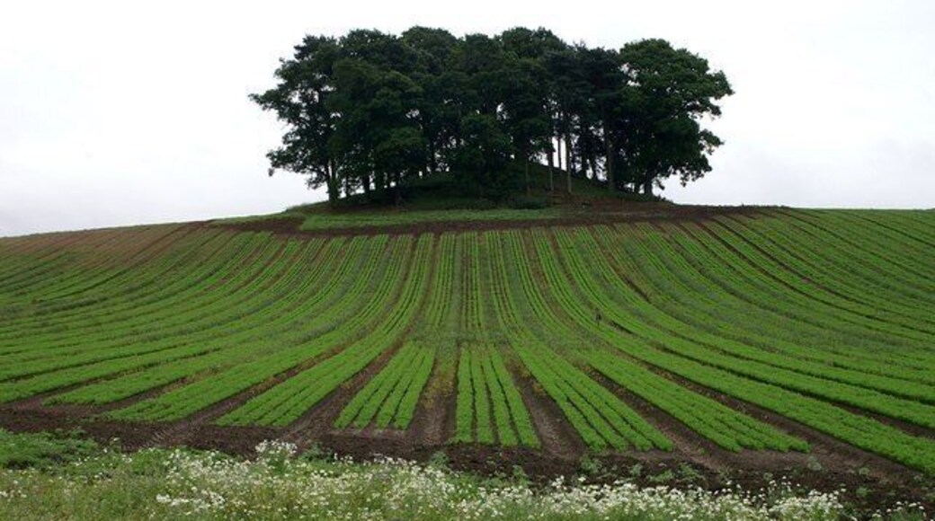 Couttie Law Tree-crowned hillock beside the Isla.