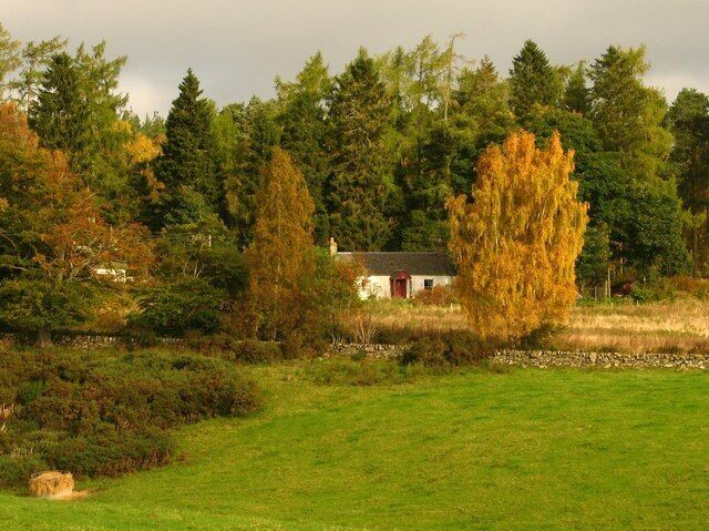 A rural landscape with a house, trees, and a grassy field.