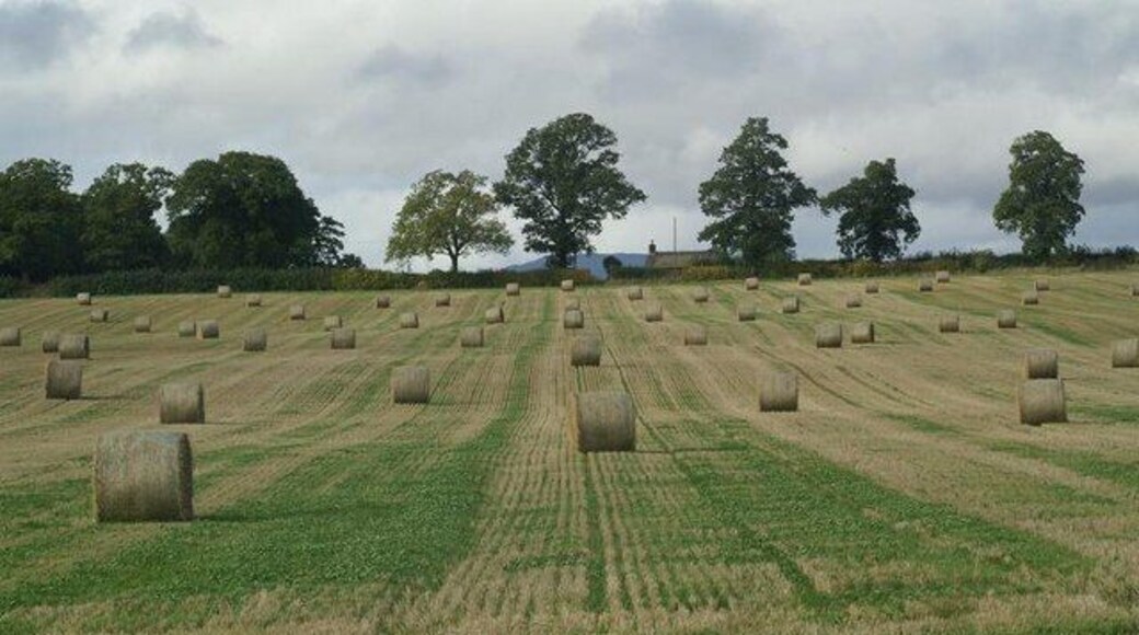 Fields south of Coupar Angus Looking across to the cottages at Caddan.