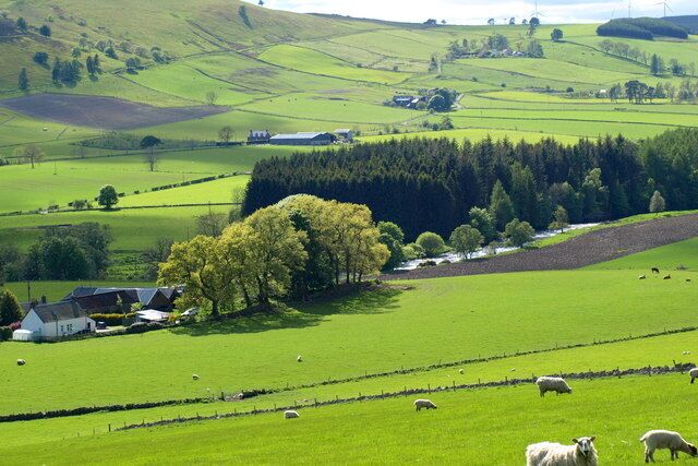 Rolling green hills, a tree-lined road, and scattered sheep grazing.