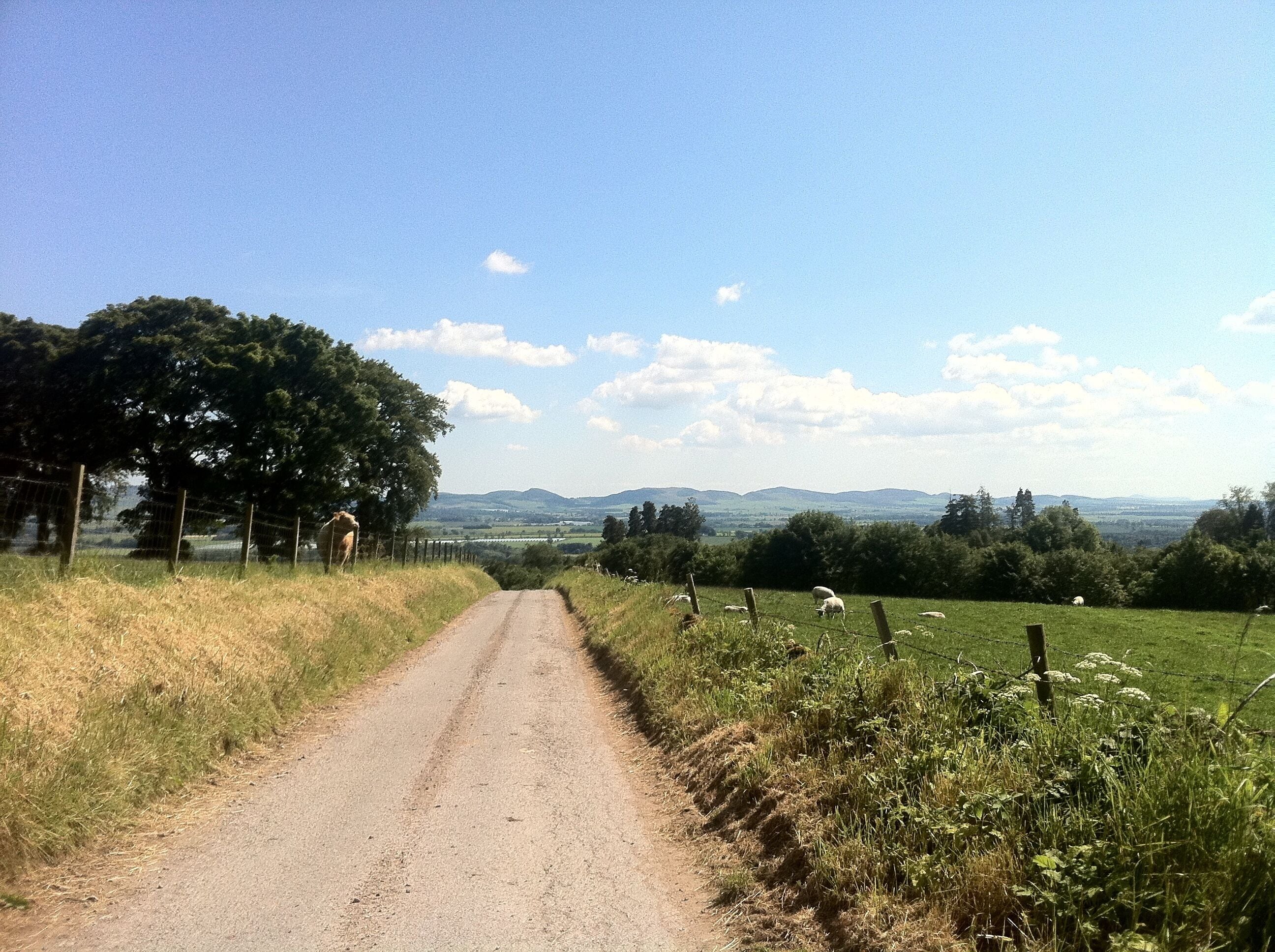 A rural dirt road flanked by trees and a fence, leading to a distant landscape with hills.