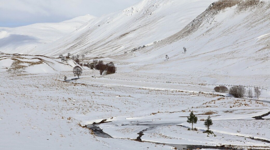 Gleann Taitneach Looking North up Gleann Taitneach.