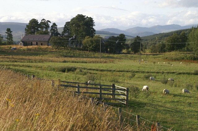 A rural landscape with a wooden fence, a house, and sheep grazing in a field.