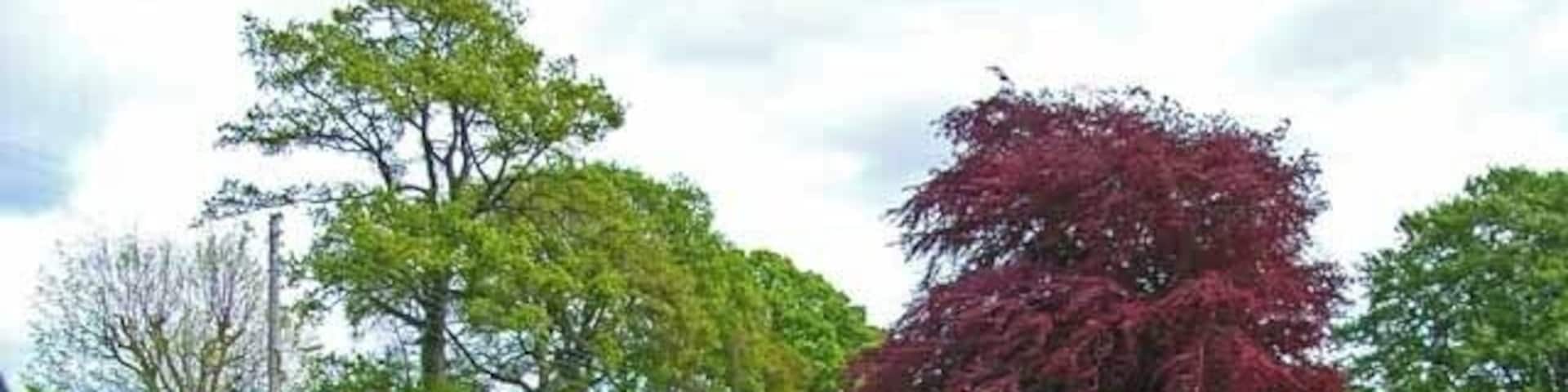 Kettins Community Garden. A beautiful community facility