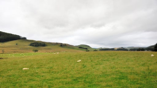 Fahrt durch die Highlands bei Glenshee