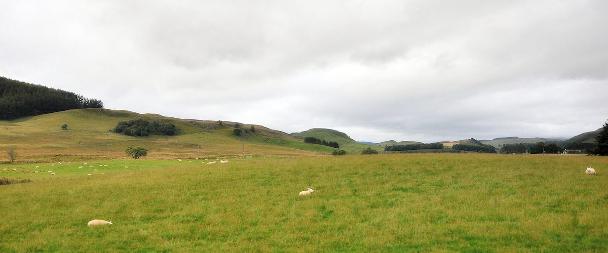 A grassy field with sheep grazing, rolling hills, and a cloudy sky.