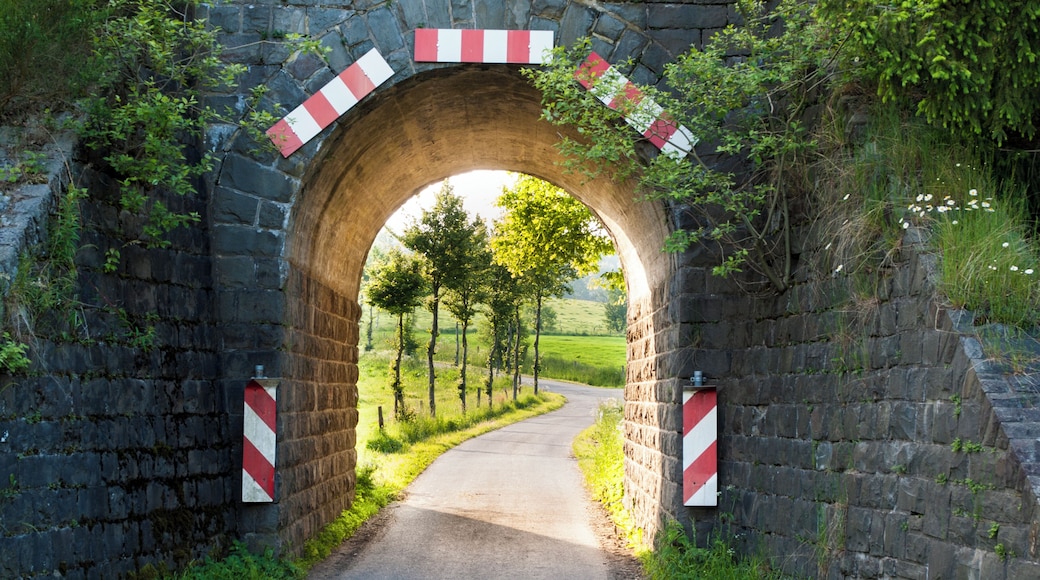 Weg in der Nähe des Naturschutzgebiets „Biggequellgebiet“ (Nordrhein-Westfalen) nach Rothemühle (Ortsteil von Wenden, Nordrhein-Westfalen); Straßenunterführung/Eisenbahnbrücke der stillgelegten Bahnstrecke Finnentrop–Freudenberg; abgebildeter Bereich im Naturpark Ebbegebirge