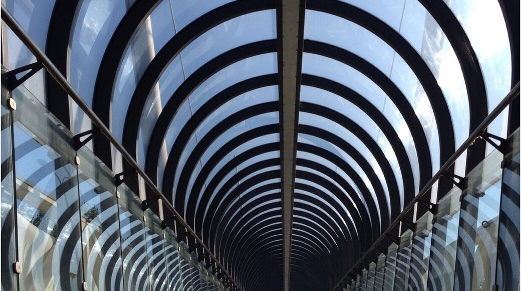 A sunny fall day makes a boring highway pedestrian bridge appear like an architecural masterpiece.