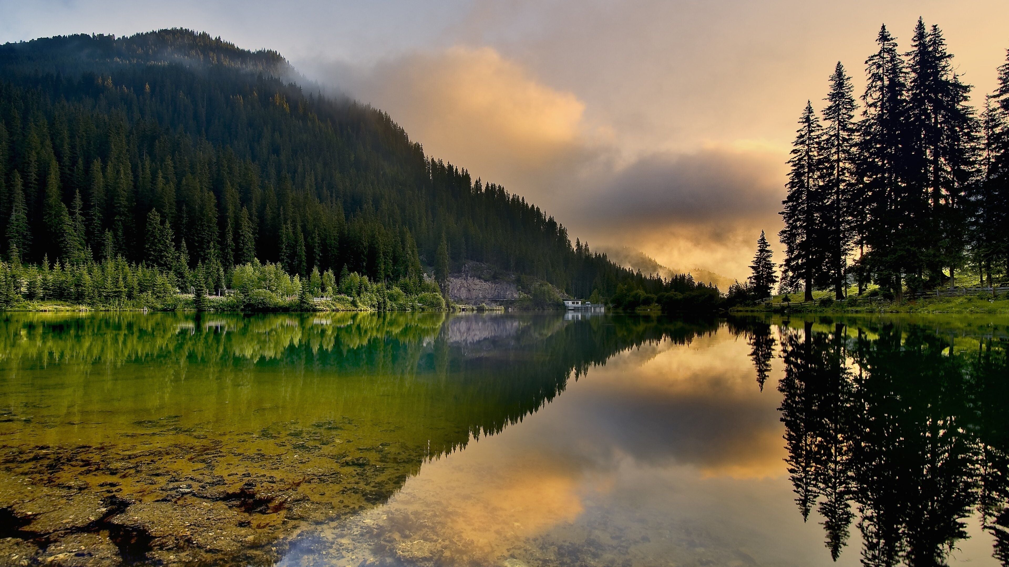 Un lago tranquilo rodeado de un bosque denso y montañas.
