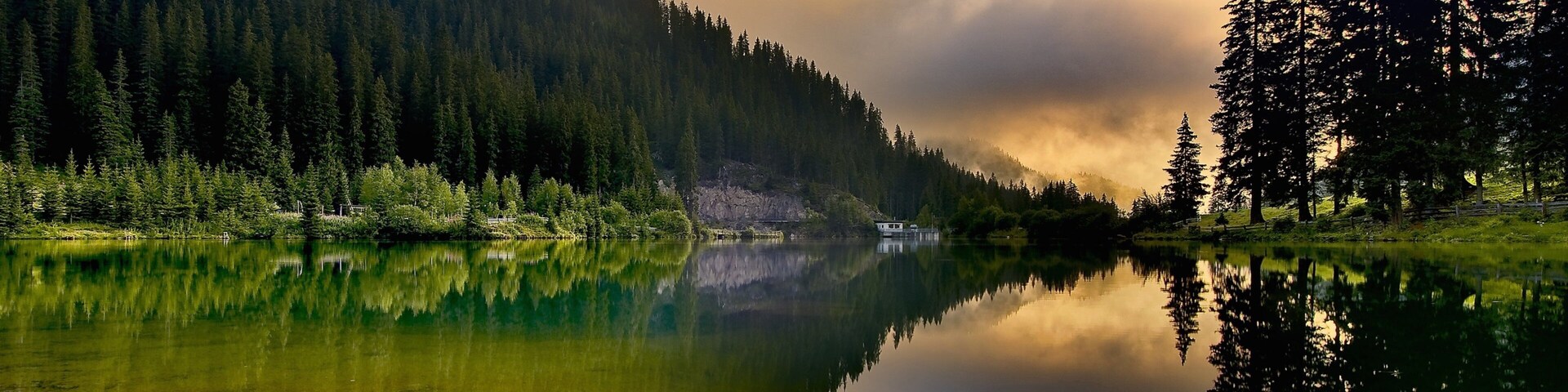 Un lago tranquilo rodeado de un bosque denso y montañas.