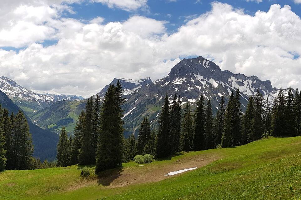 A mountainous landscape with snow-capped peaks, dense forests, and a clear sky.