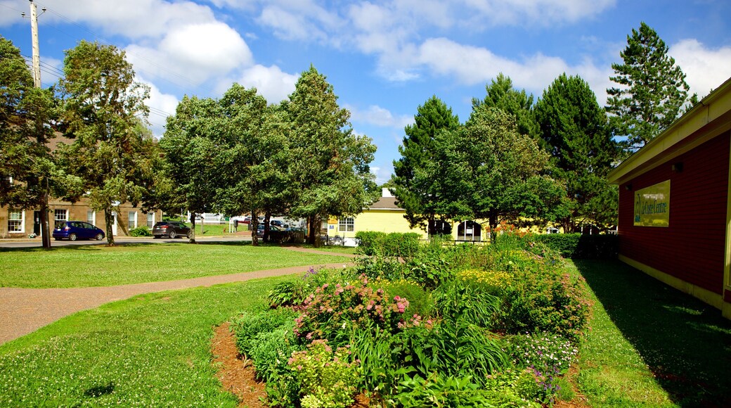Pictou which includes a park and landscape views