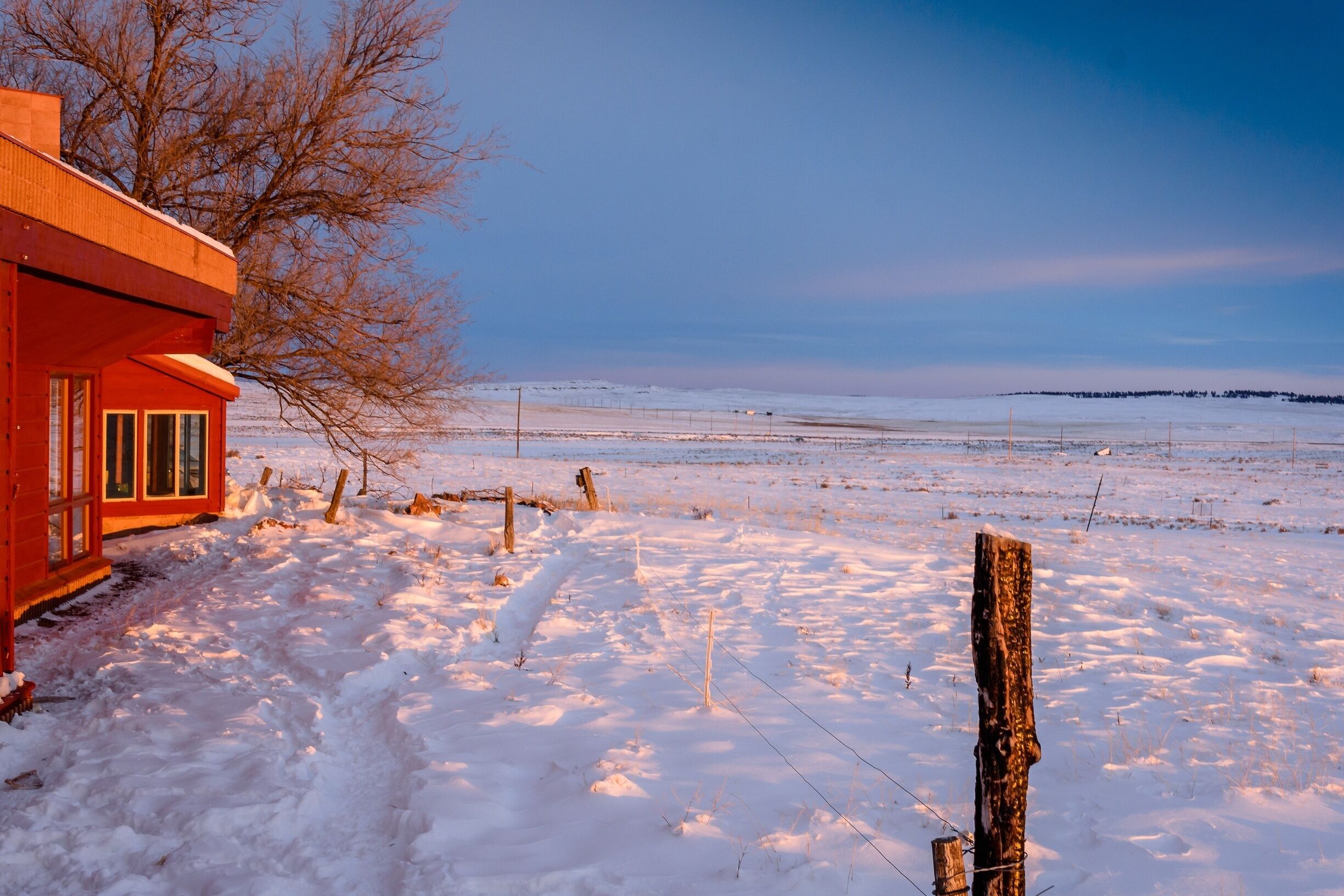 My friends ranch on Highway 87 Shepherd, Billings.  The ranch house is an early style echo use partially buried into the ground. If faces South and the setting sun shines beautifully across the front of it. One of only two trees in the vacinity huddles up against the house.