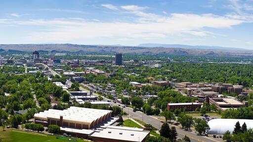 Billings