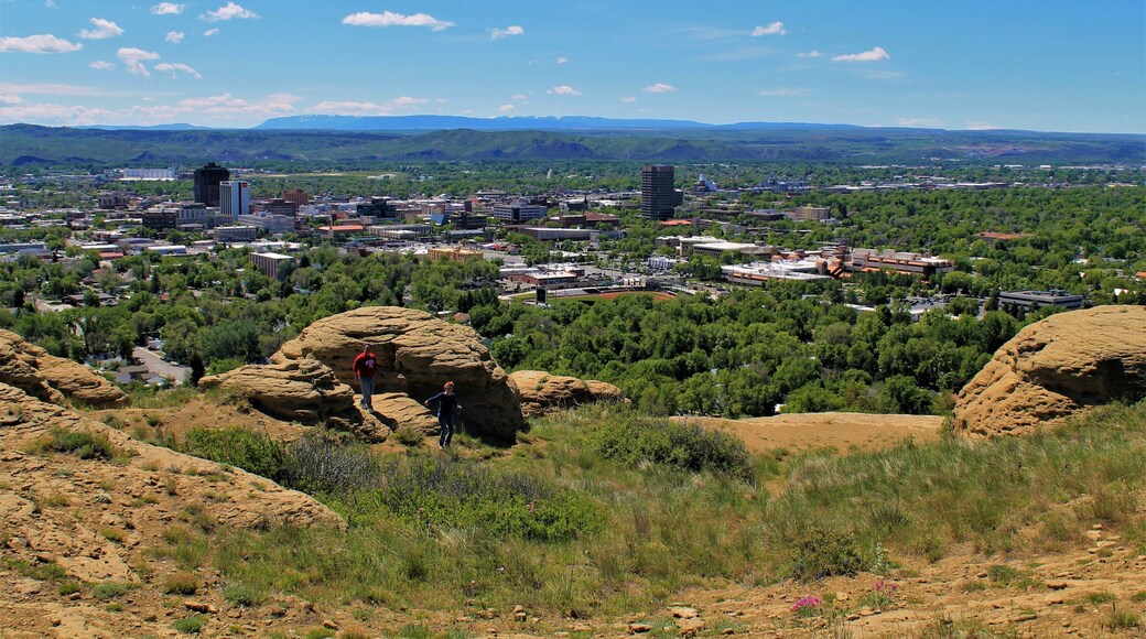 Billings MT...