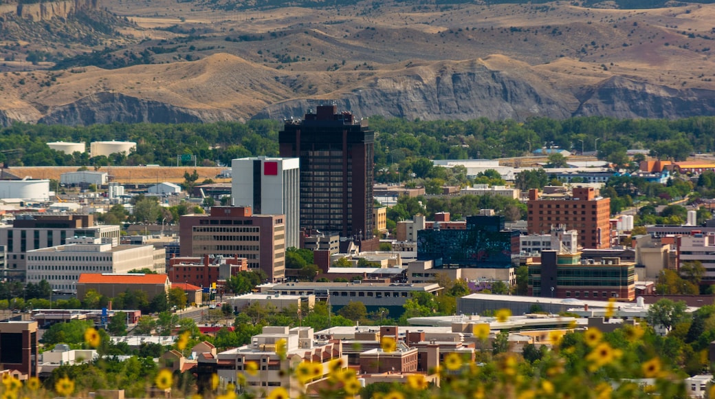 Billings