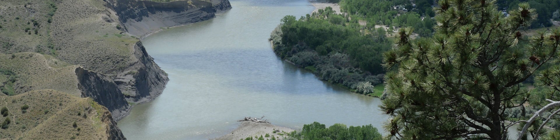 A river winding through a valley with hills and a pine tree in the foreground.
